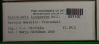 Image Associated With the Occurence